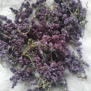 50pcs Dried Lilac Flowers Purple Syringa Vulgaris Wedding Confetti Lilac Handpicked For Crafts Resin Art Potpourri DIY Projects Lilac