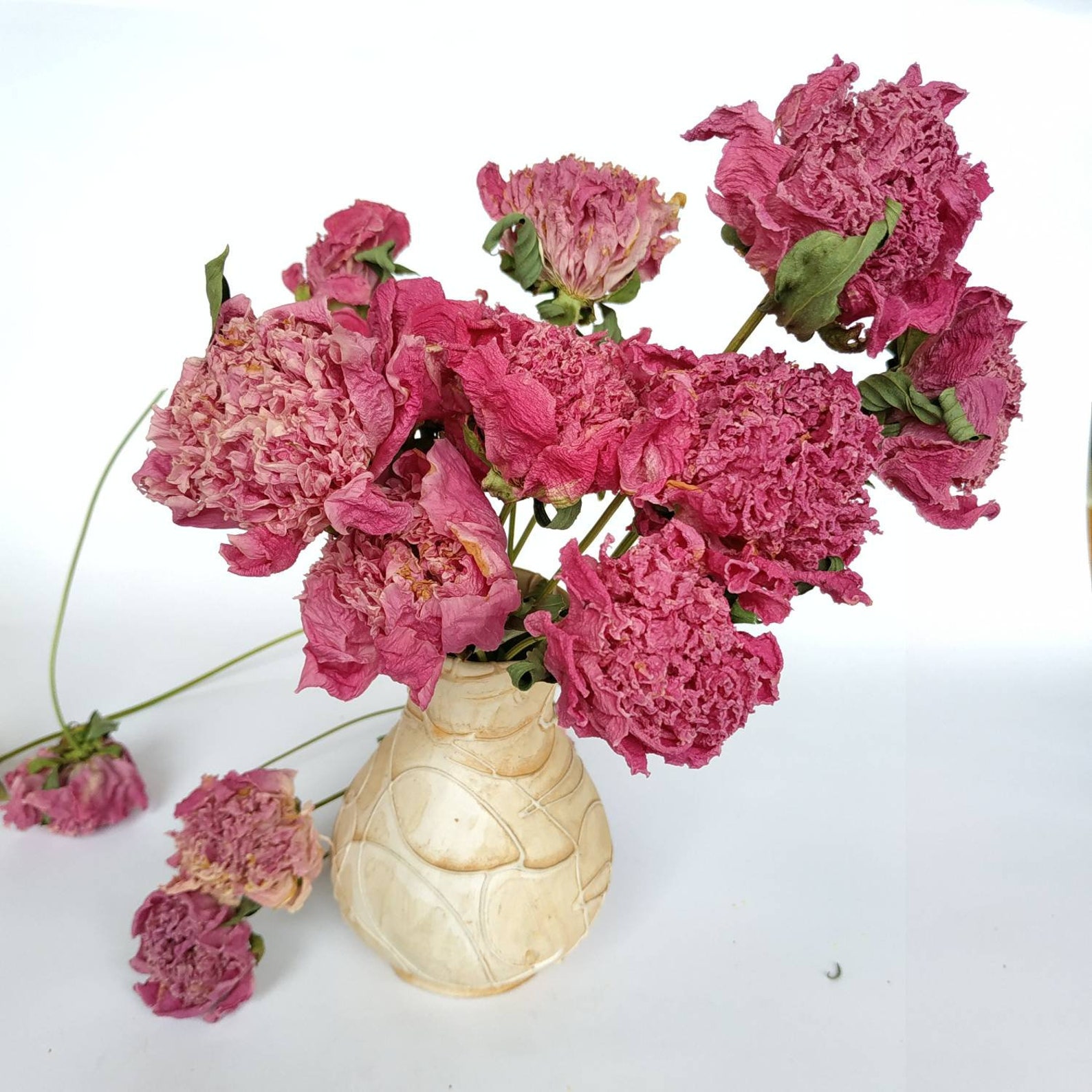 Dry Peonies Wedding Dried Pink Peonies Bunch Organic Dry Etsy