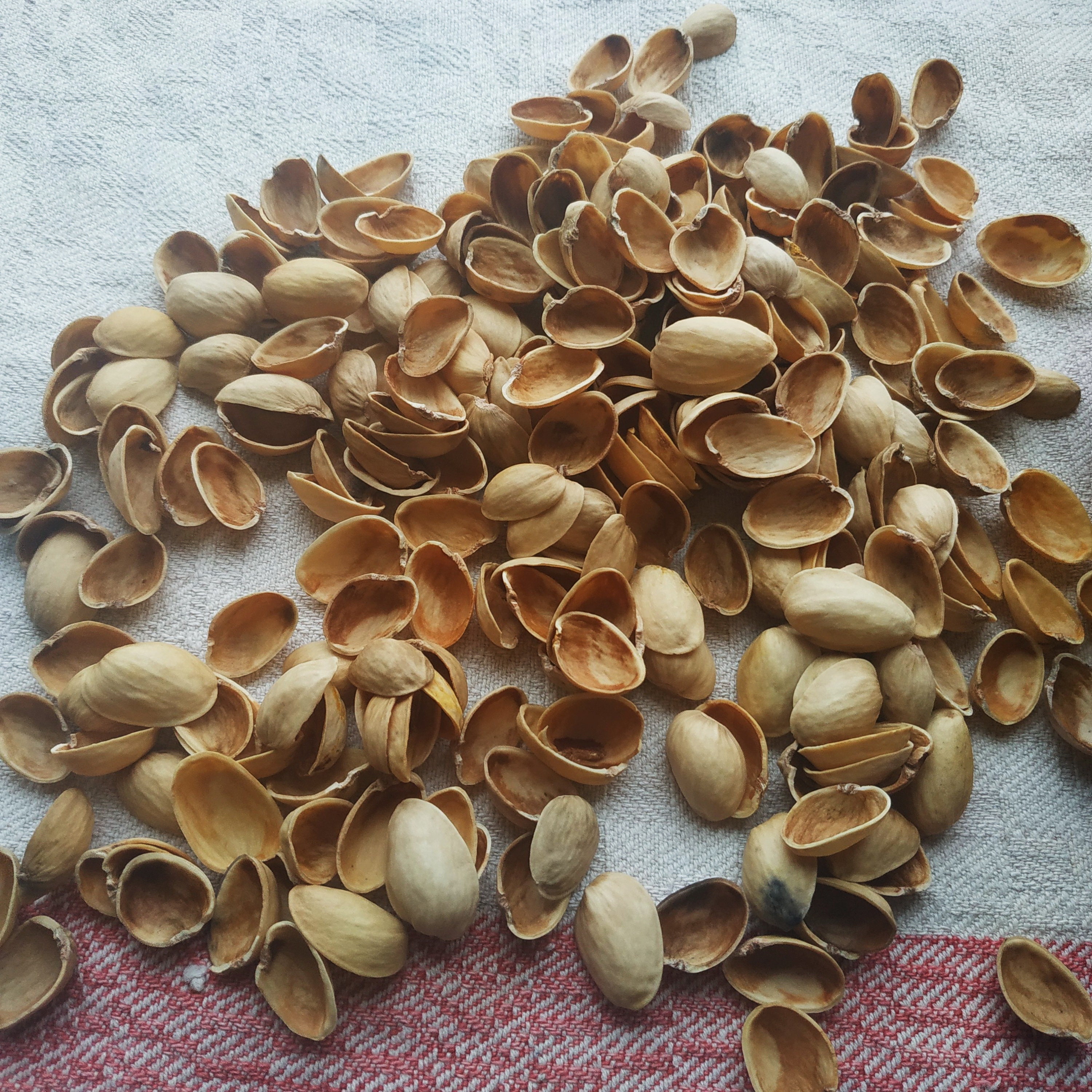 Pistachio Shells 3oz 85g Empty Pistachio Shells Peels Organic