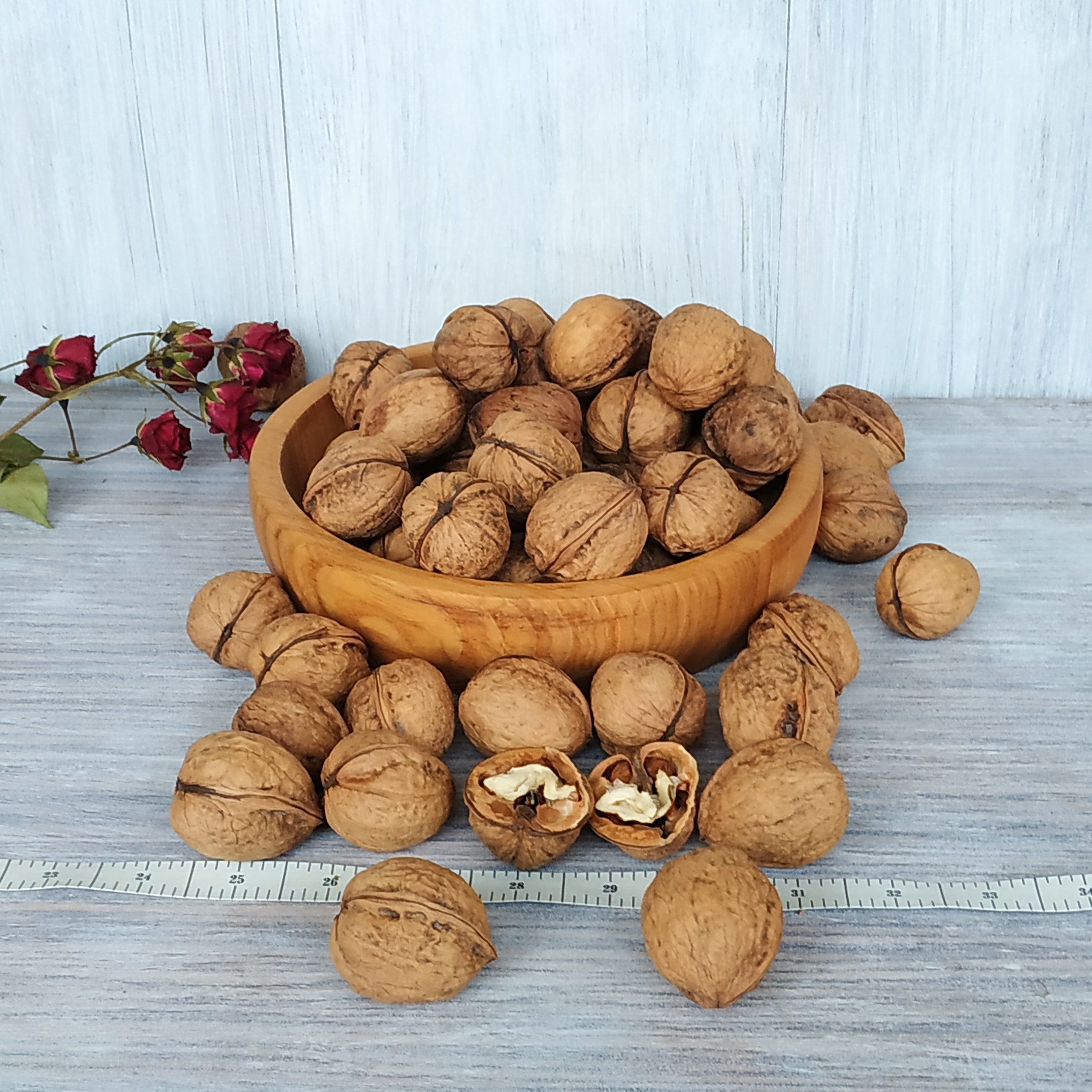 Walnuts in shell 1 lb Organic whole walnuts Natural dried nuts Etsy