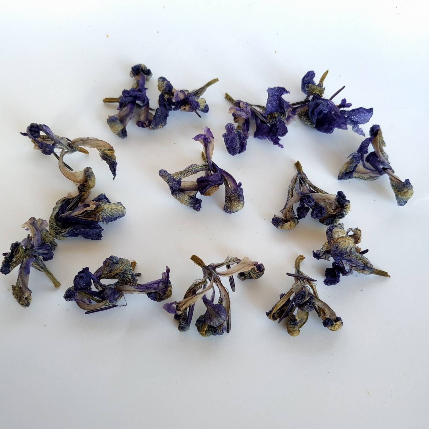 Dried blue iris flowers 15 pcs for resin art. Biodegradable Etsy