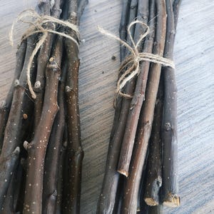 Rami di melo 12 pezzi Bastoncini di melo Rami secchi in legno Rami naturali Rami di melo secchi Strumenti da strega Decorazioni e artigianato Rami