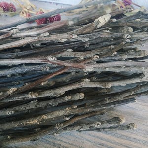 Rami di melo 20 bastoncini di melo Rami secchi di legno Rami naturali Rami di melo secchi Strumenti di strega Decorazioni e artigianato Rami
