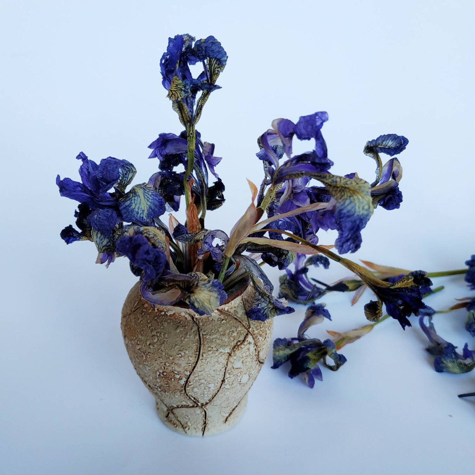 Dried blue iris flowers 12 pcs for resin art. Biodegradable Etsy