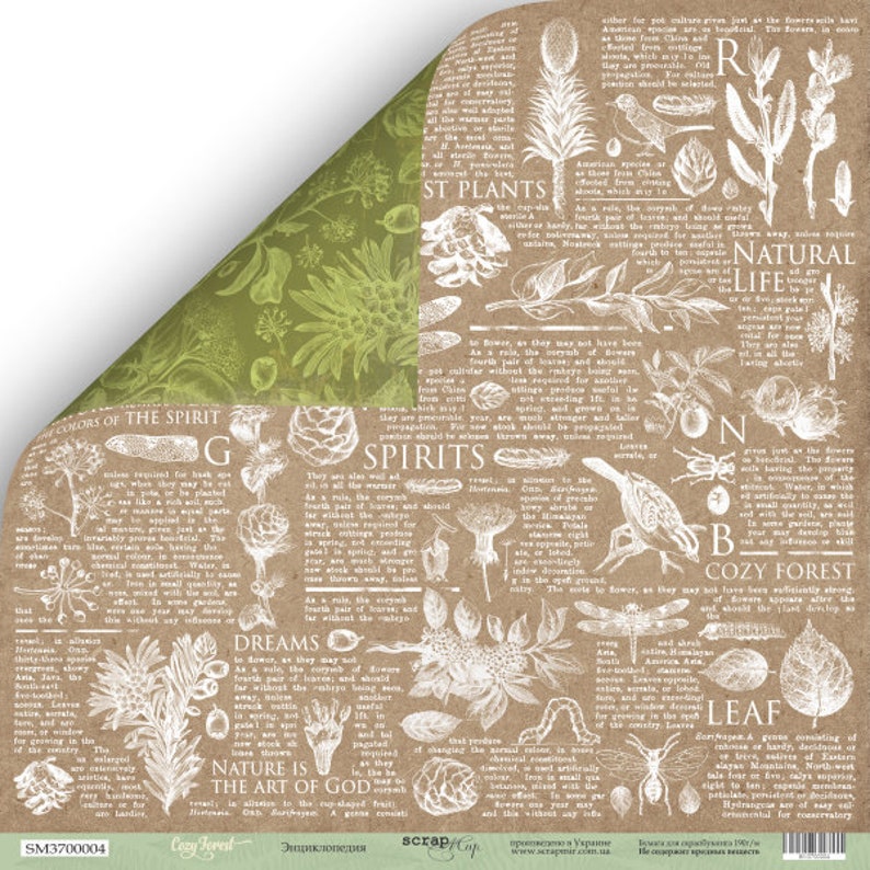 May include: A scrapbook paper sheet with a botanical theme. The paper features a brown background with white illustrations of plants, insects, and text. A corner of the paper is folded over, revealing a green floral pattern.