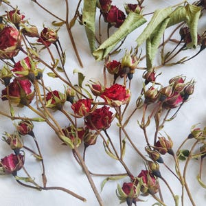 Dried Burgundy Rose Bouquet: 24 Mini Stems for Resin Art