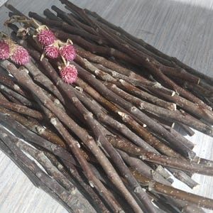 Bastoncini di legno di mela 50 pezzi Rami di melo secchi Fornitura di legno Fornitura di legno naturale Rami di legno Strumenti di strega Decorazioni e artigianato Rami
