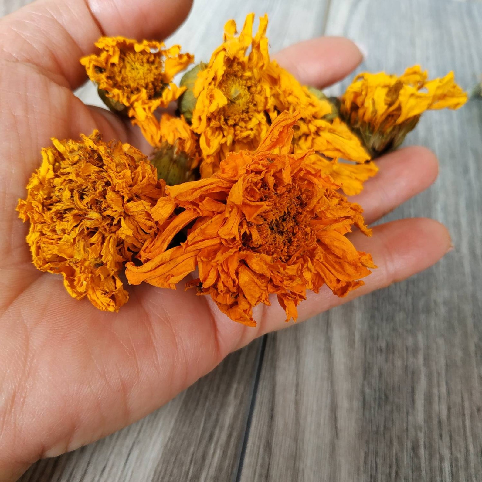 Dried marigold flowers 60 pcs organic dry marigold flowers Etsy