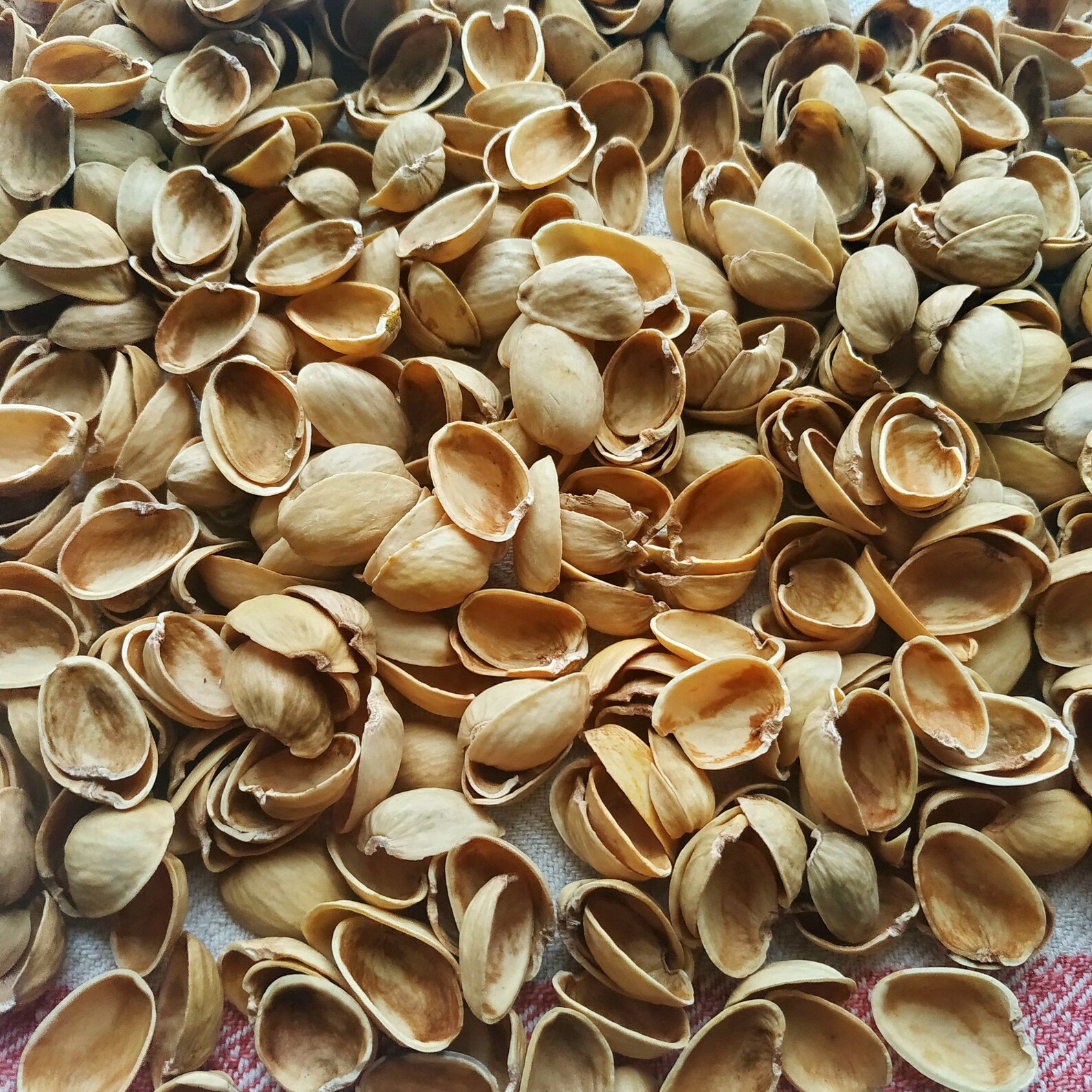 Pistachio Shells 3oz 85g Empty Pistachio Shells Peels Organic