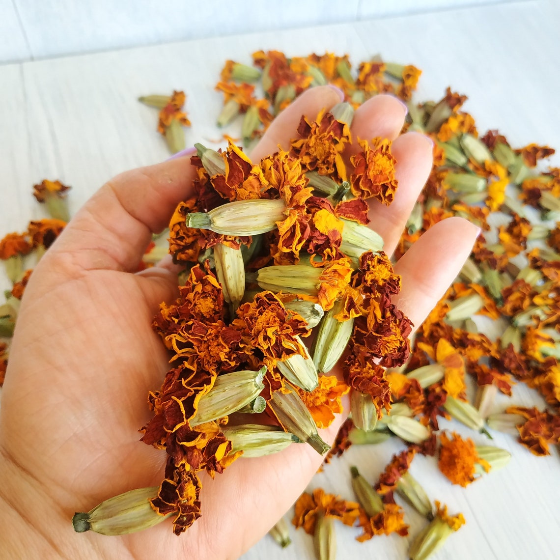 Dried Marigold Dry Marigold Flowers Biodegradable Decor Dried Etsy