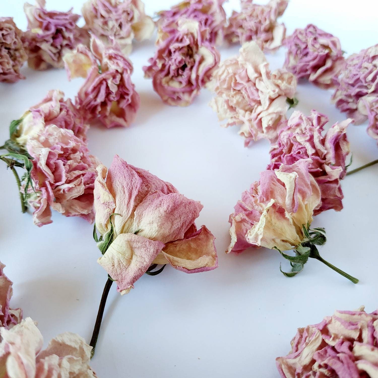 Roses pink dried. Organic small dried flowers. Real dried Etsy