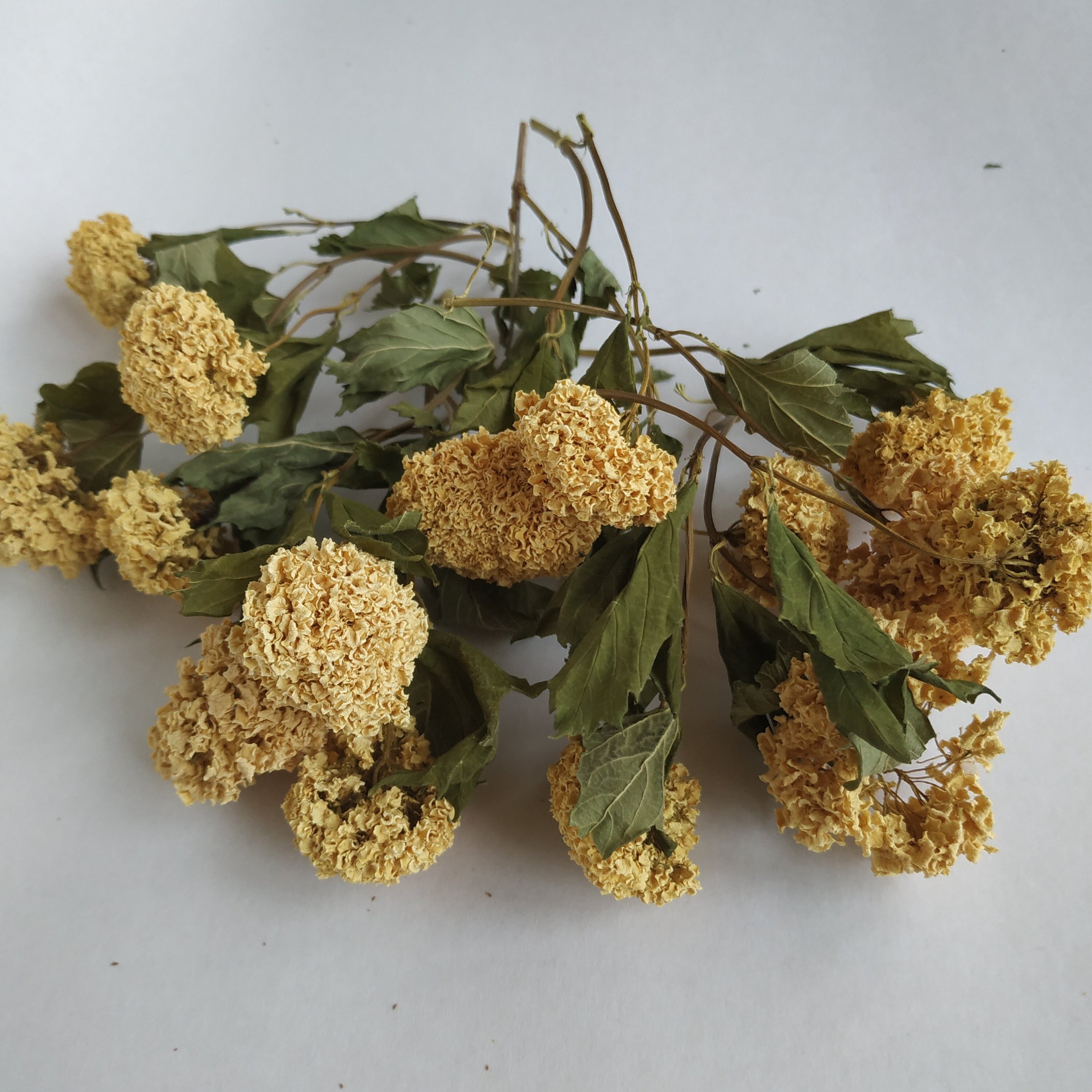 How to Dry Flowers + 14 Dried Flower Petal Projects - Garden Therapy
