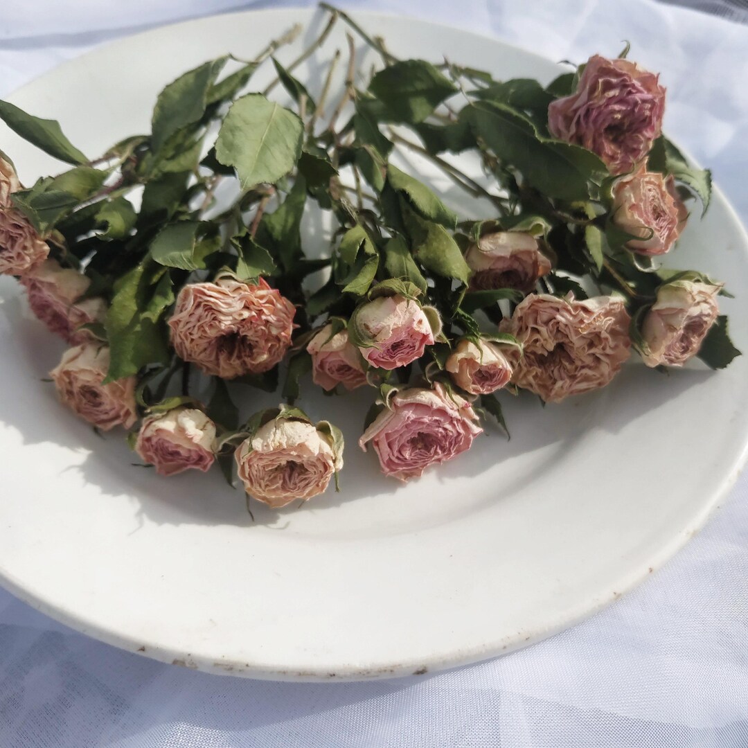 Dusty Pink Roses Bouquet Small Dried Pink Flowers for Resin Art Roses ...