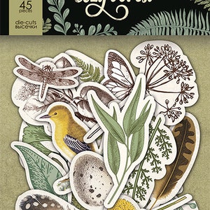 May include: A collection of die-cut paper pieces with a nature theme. Includes a yellow bird, dragonfly, butterfly, leaves, feathers, and a dandelion. The package is labeled "Cozy Forest" with 45 pieces.