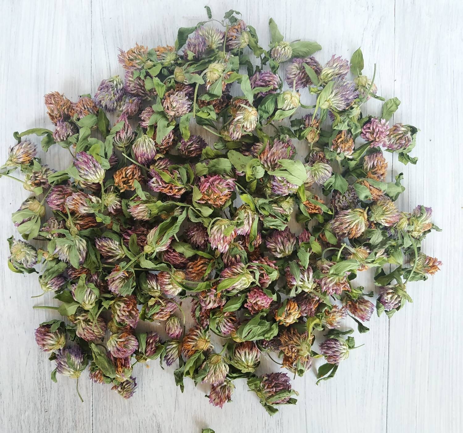 Dried clover flowers. Purple clover flower dry. Organic red Etsy