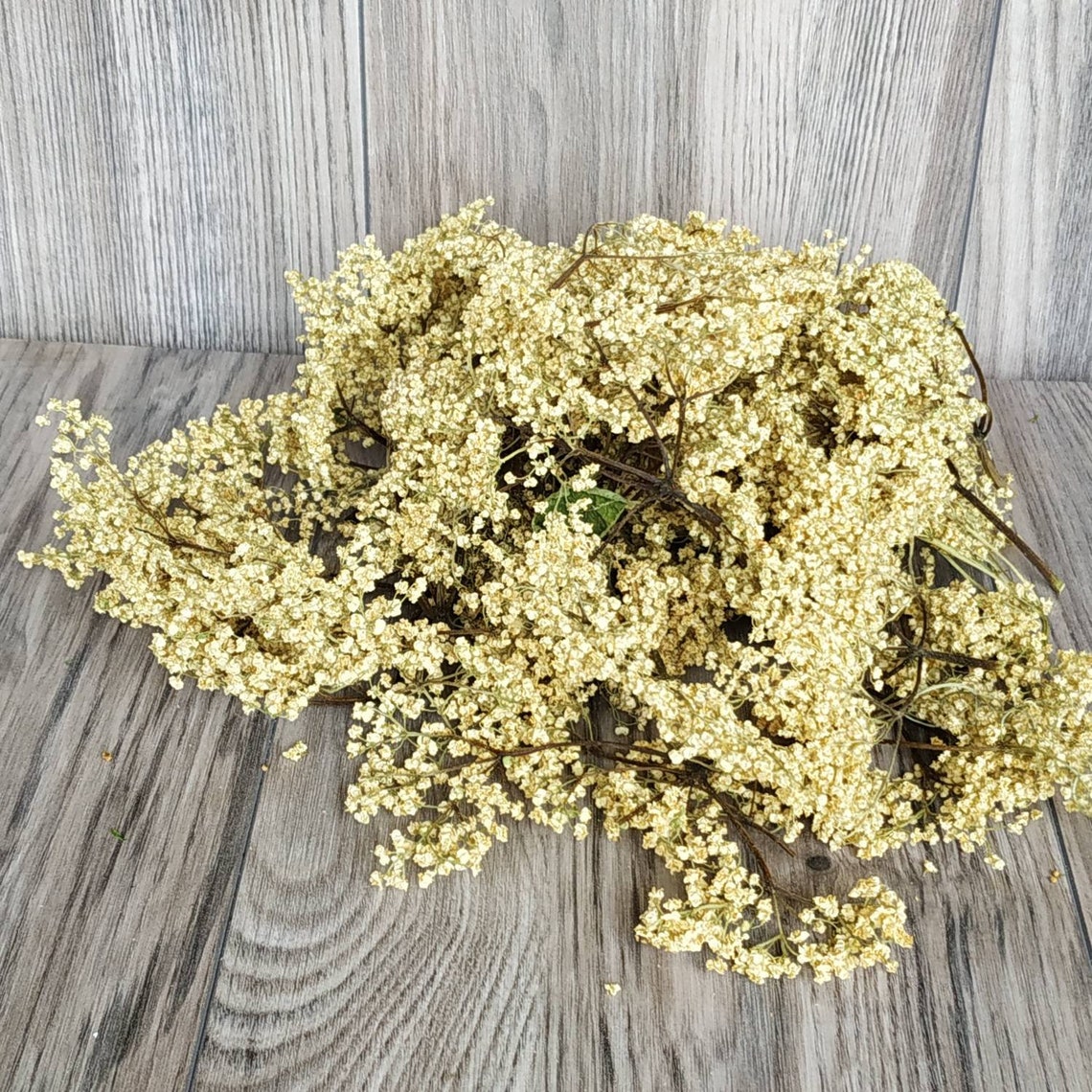 Elderberry Flowers Dry. Real Organic Dried Elderberry Flowers. Etsy