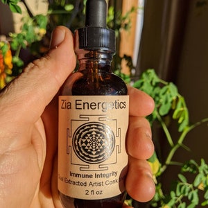 Immune Integrity Tincture (Artist Conk Mushroom met twee extracten gemaakt met biologische wodka) Handgemaakt, in het wild gemaakt