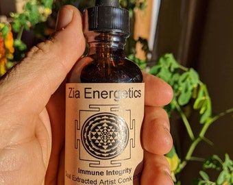 Immune Integrity Tincture (Dual extract Artist Conk Mushroom made with organic vodka) Handmade, Wildcrafted