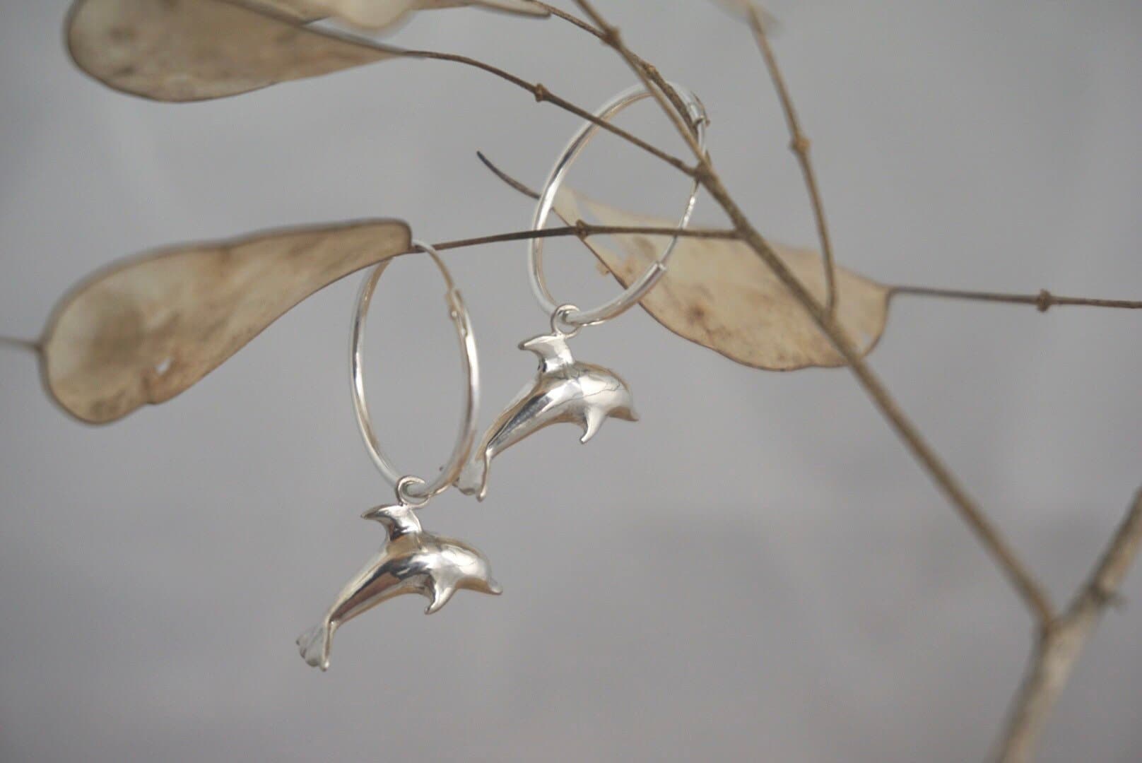 Dolphin Earrings ~ Playful Diving Dolphin Hoops | Sterling Silver Jewellery Hand Carved Design By Rosalind Elunyd Jewellery