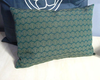 Pillow, Hakama Silk, Silk Pillow, Cushion, Geometric, Emblem, Light Green on Cool Turquoise Green, Kanji, Tai Chi, Chi Gong, Gift!