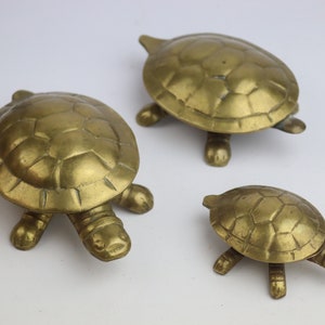 May include: Three brass turtle figurines of varying sizes. The turtles are all facing the right side of the image. The largest turtle is in the background, the smallest turtle is in the foreground, and the medium-sized turtle is in the middle.