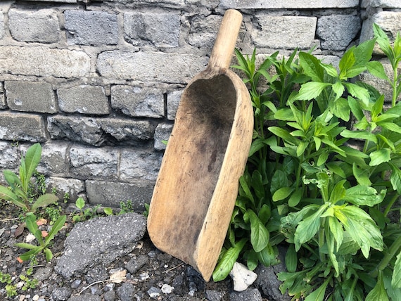 非常に珍しい大きなアンティークの木製スコップ、レトロなピッカー