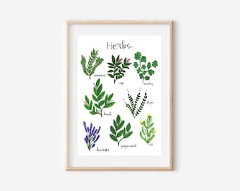 Herbs Art Print, A4 / A5 Art Print, Herbs Illustration, Kitchen Decoration Print, Kitchen Herbs