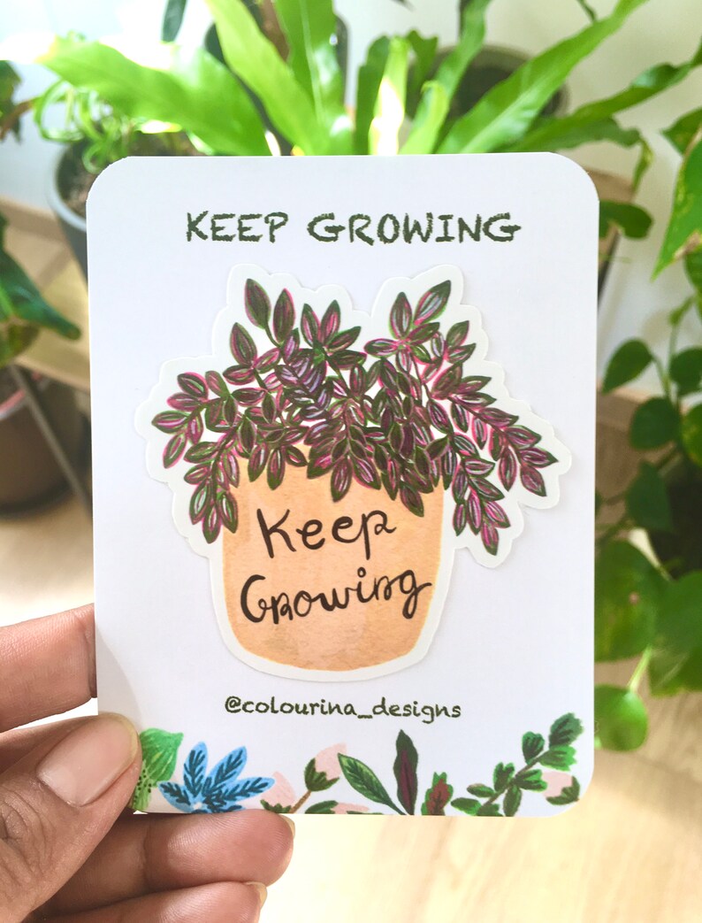 Keep Growing Vinyl Sticker, House Plant Sticker, Motivational/Encouragement Sticker, Plant Lover Sticker, Decal image 2