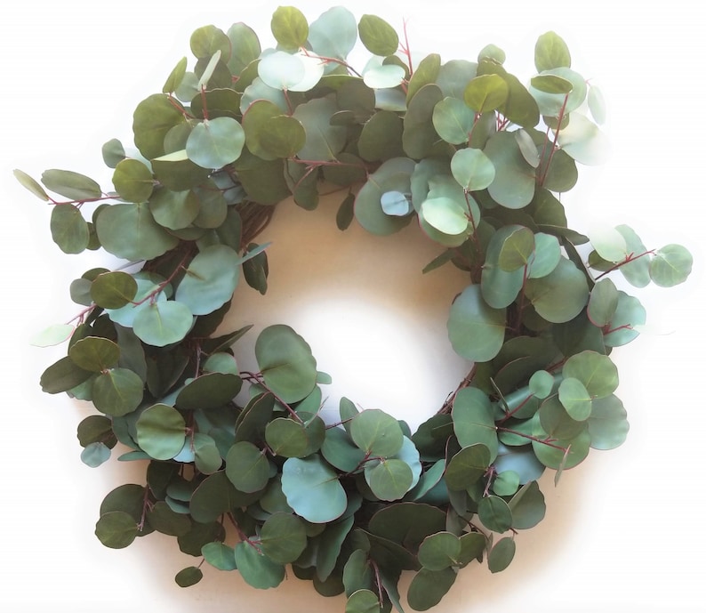 24 Silver Dollar Eucalyptus Sage Wreath Faux Etsy