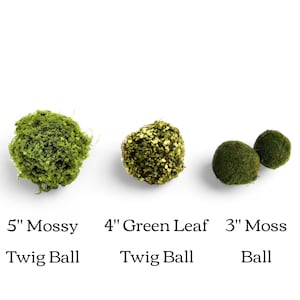 May include: Three different sizes of moss balls. A 5 inch mossy twig ball, a 4 inch green leaf twig ball, and a 3 inch moss ball.