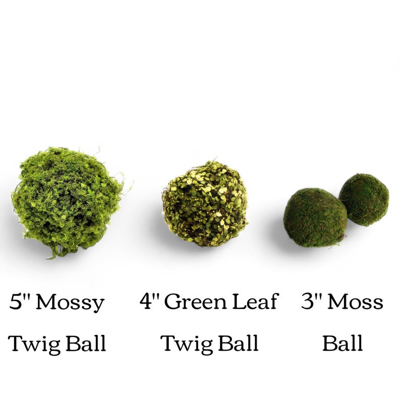 May include: Three different sizes of moss balls. A 5 inch mossy twig ball, a 4 inch green leaf twig ball, and a 3 inch moss ball.