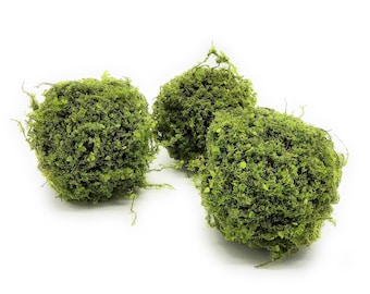 5 Inch Mossy Twig Ball Decorative Bowl Filler Balls