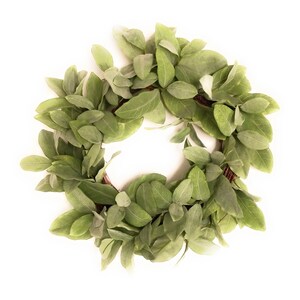 20&quot; Frosted Green Bay Leaf Wreath Faux