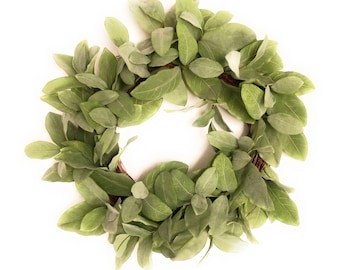 20&quot; Frosted Green Bay Leaf Wreath Faux