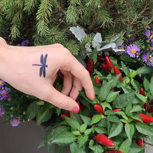 Dragonfly Temporary Tattoo Fake Tattoos Etsy