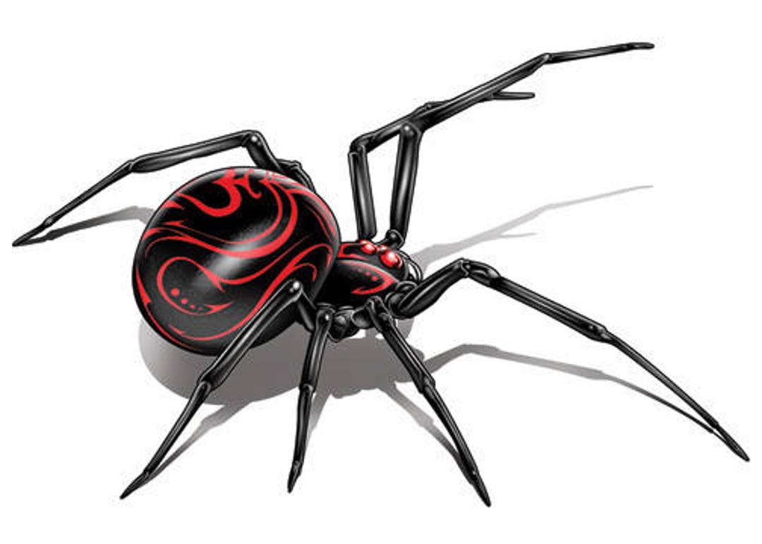 Spider Fake Tattoo - Etsy UK Spider Fake Tattoo - Etsy UK