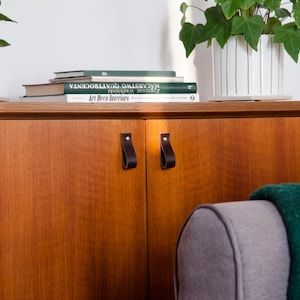 May include: A wooden cabinet with two dark brown leather pulls. The cabinet is topped with books and a white planter with a green plant. A gray sofa and green blanket are in the background.