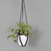 see more listings in the Leather Hanging Planters section