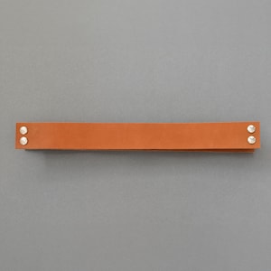 Peut inclure: Une sangle en cuir marron avec deux rivets argentés à chaque extrémité.