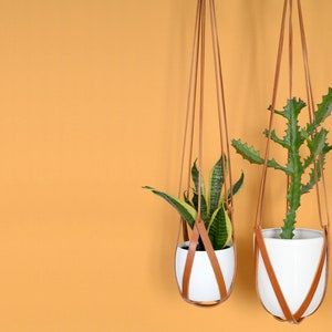 以下が含まれることがあります： オレンジ色の壁を背景に、植物が入った2つのハンギングプランター。白いセラミックポットは、茶色の革ストラップで吊り下げられています。1つのポットにはサンスベリア、もう1つにはサボテンが入っています。背景は単色のオレンジ色です。