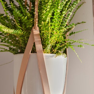 Flower in the beige planter