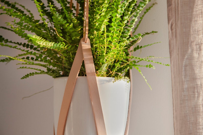 Flower in the beige planter