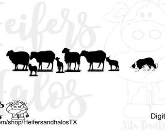 Download Border collie svg | Etsy