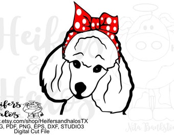 Download Poodle silhouette | Etsy