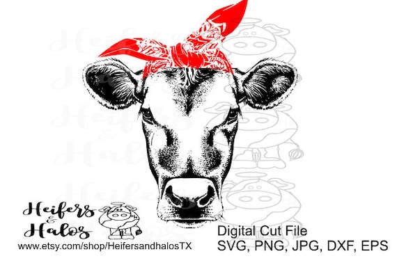 party print express etsy dxf pdf cow heifer Bandana png studio3 svg file cut Etsy eps party print express etsy dxf pdf cow heifer Bandana png studio3 svg file cut Etsy eps