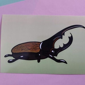 Hercules Beetle 4 by 6 Print