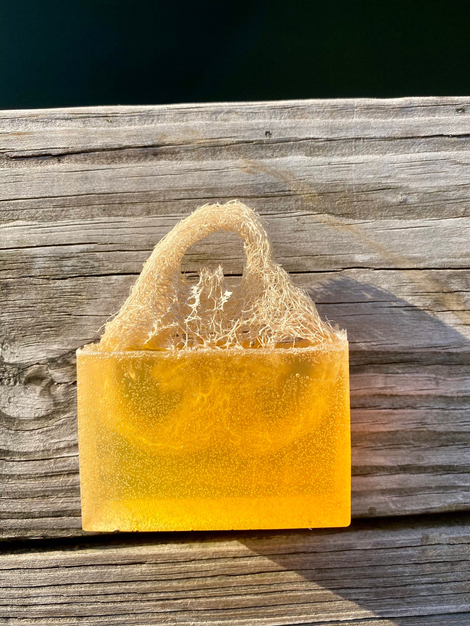 Florida Orange Loofah Soap Etsy