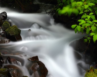 Oregon's Columbia River Valley river (near Wahkeena Falls)