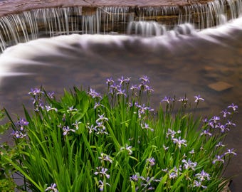Botanic Gardens waterfall | Wellfield Botanic Gardens | Elkhart, Indiana.