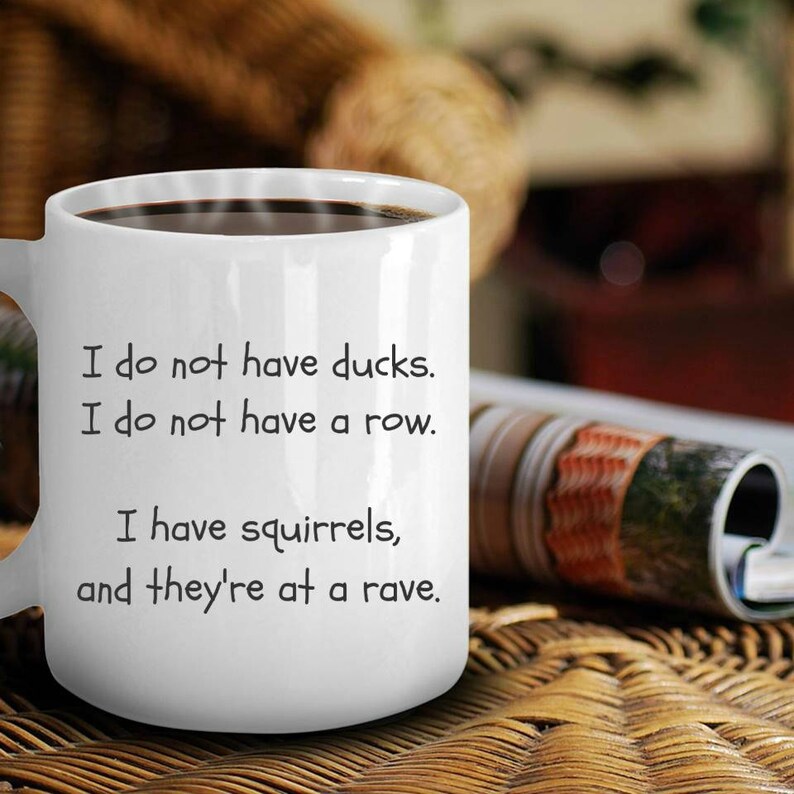 Coffee Mug Gift For Men Or Women I Do Not Have Ducks Funny Novelty Mugs coffee-mug-gift-for-men-or-women-i-do-not-have-ducks-funny-novelty-mugs